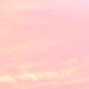 欧美胖熟妇bbbbbbb
