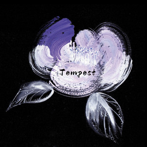 欧美胖熟妇bbbbbbb
